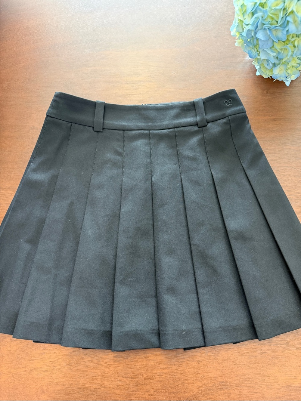 Aritzia Black Pleated Skater Skirt
